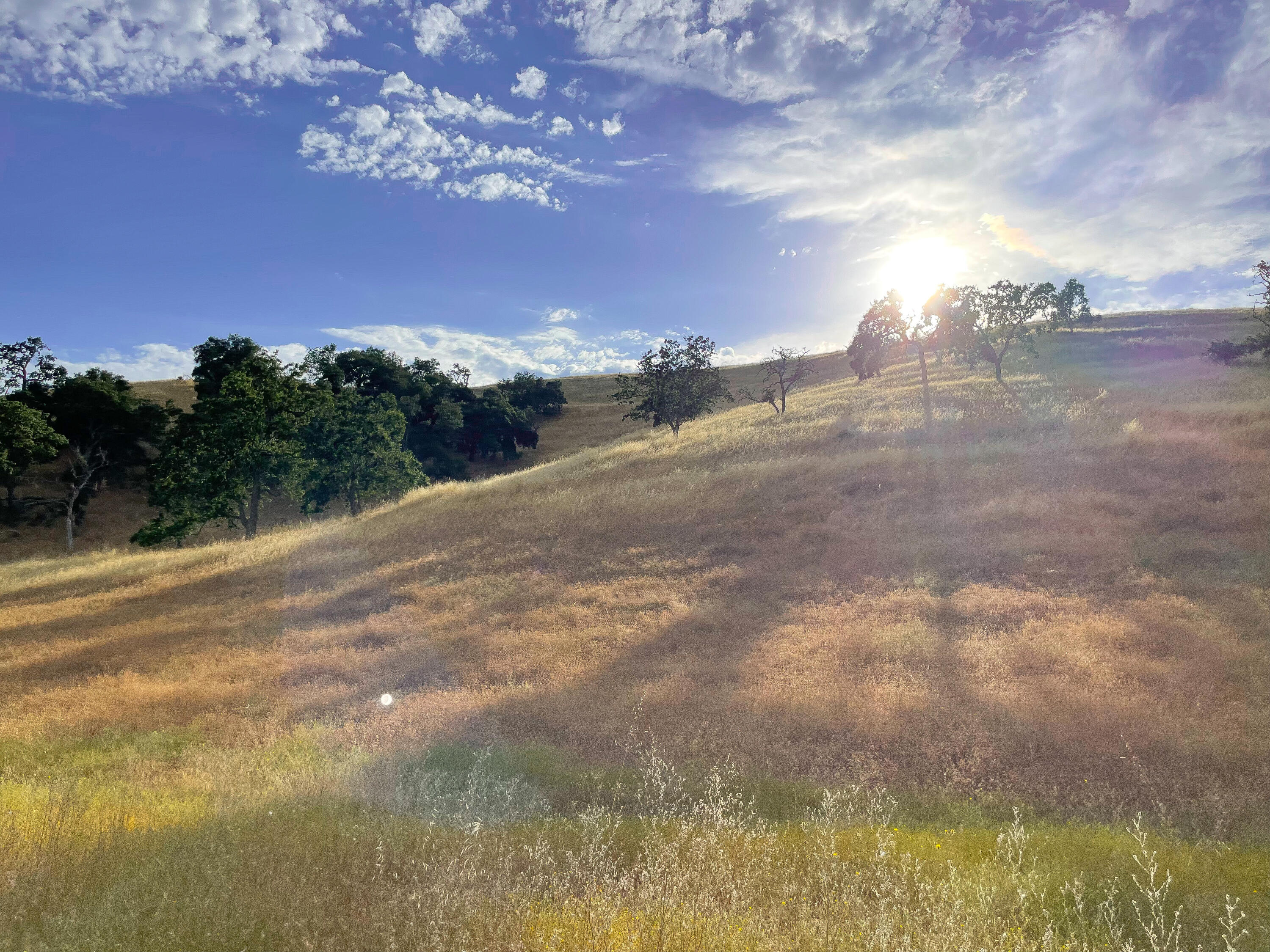 0 East E Highway Templeton, CA 93465 - Photo 29 of 84 18