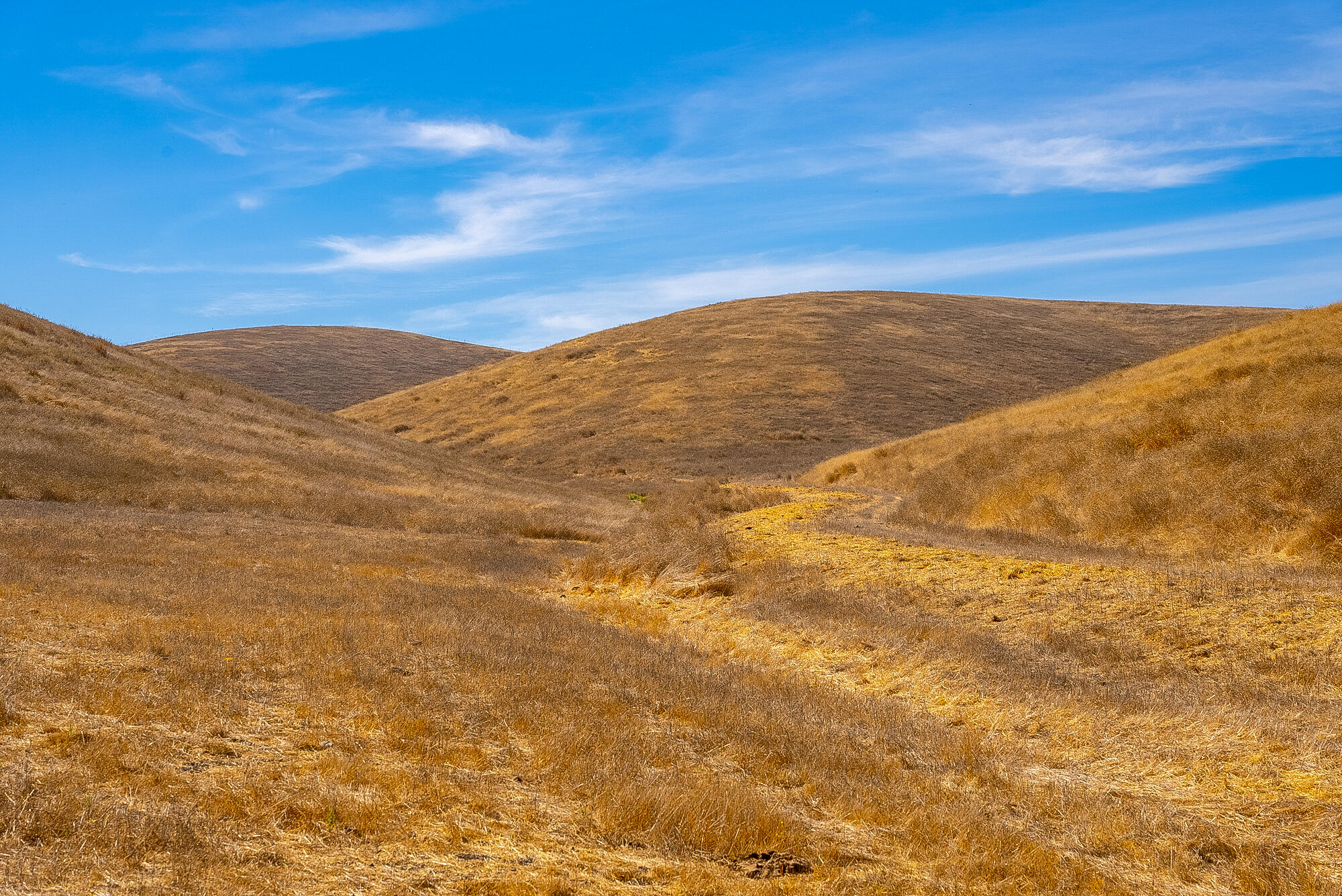 0 East E Highway Templeton, CA 93465 - Photo 60 of 84 FF