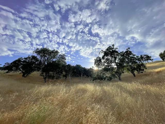 $865,000 | 0 East E Highway, Templeton, CA 93465