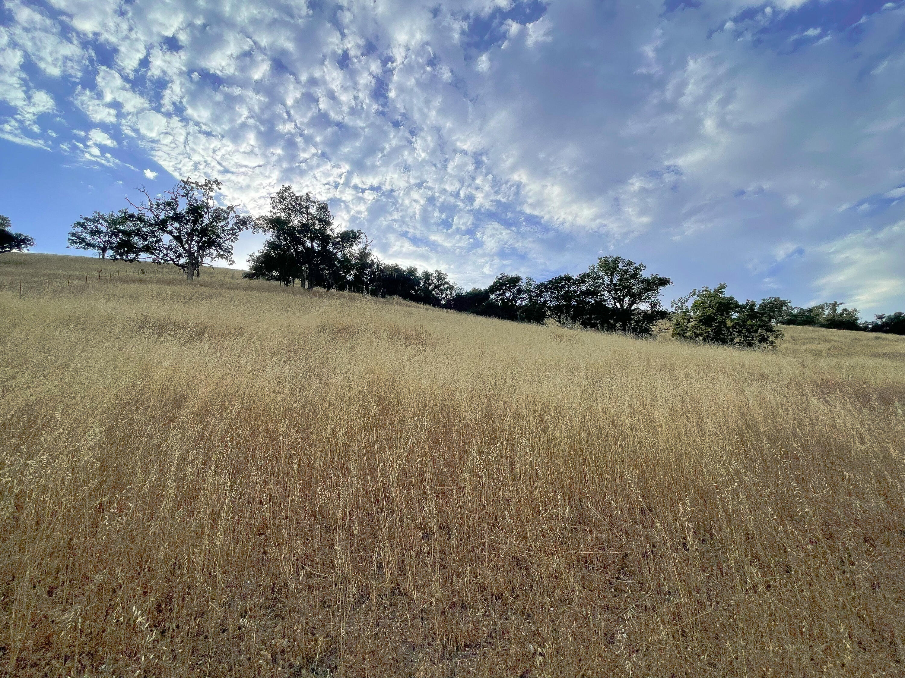 0 East E Highway Templeton, CA 93465 - Photo 69 of 84 33