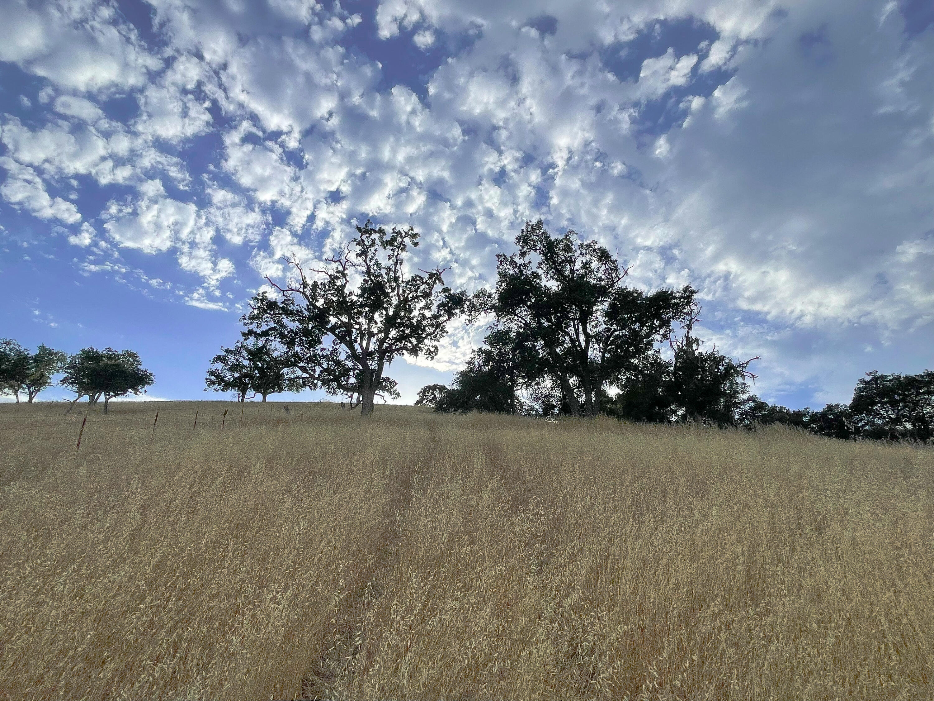 0 East E Highway Templeton, CA 93465 - Photo 70 of 84 a view of a lake