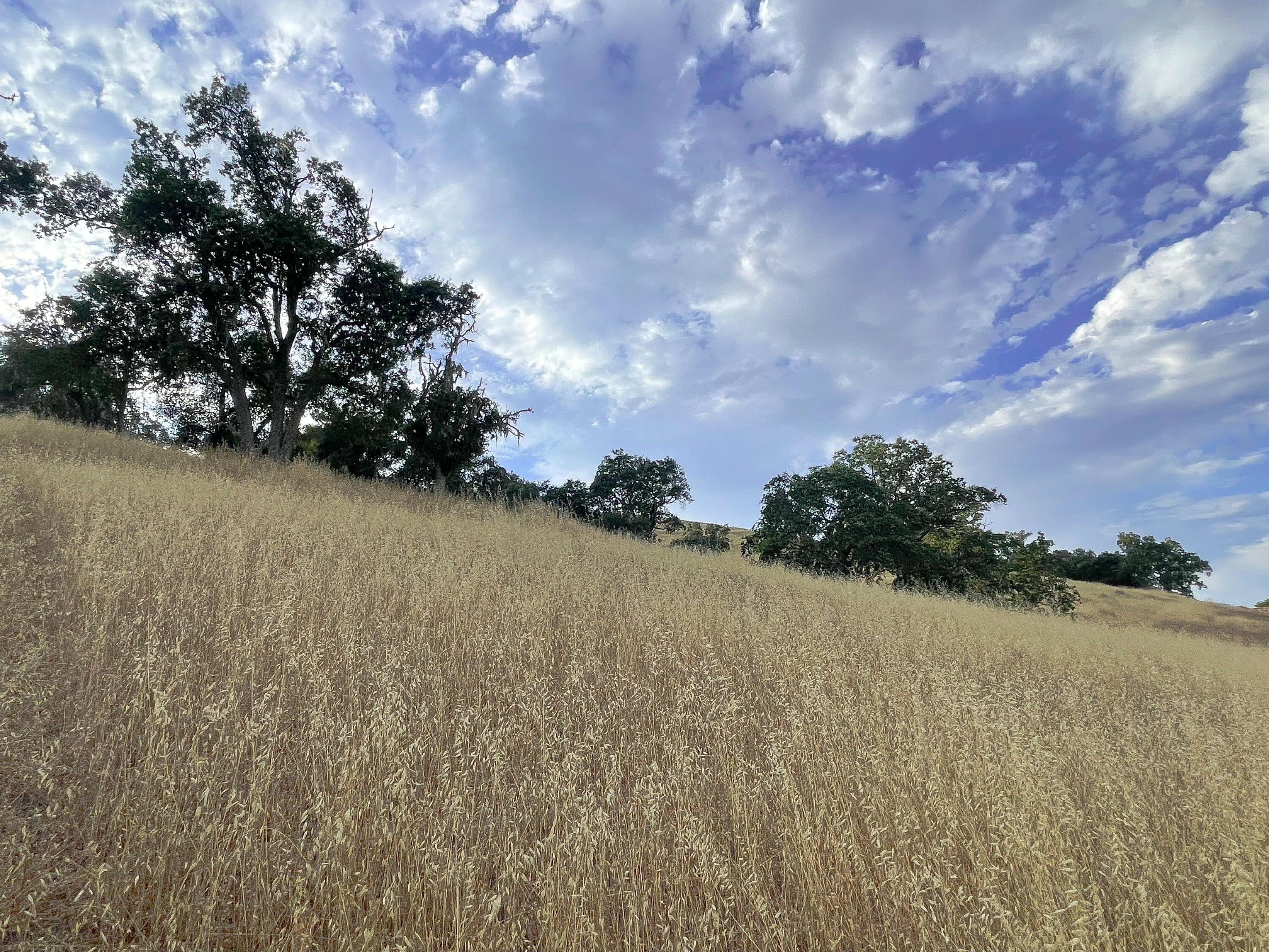 0 East E Highway Templeton, CA 93465 - Photo 71 of 84 35