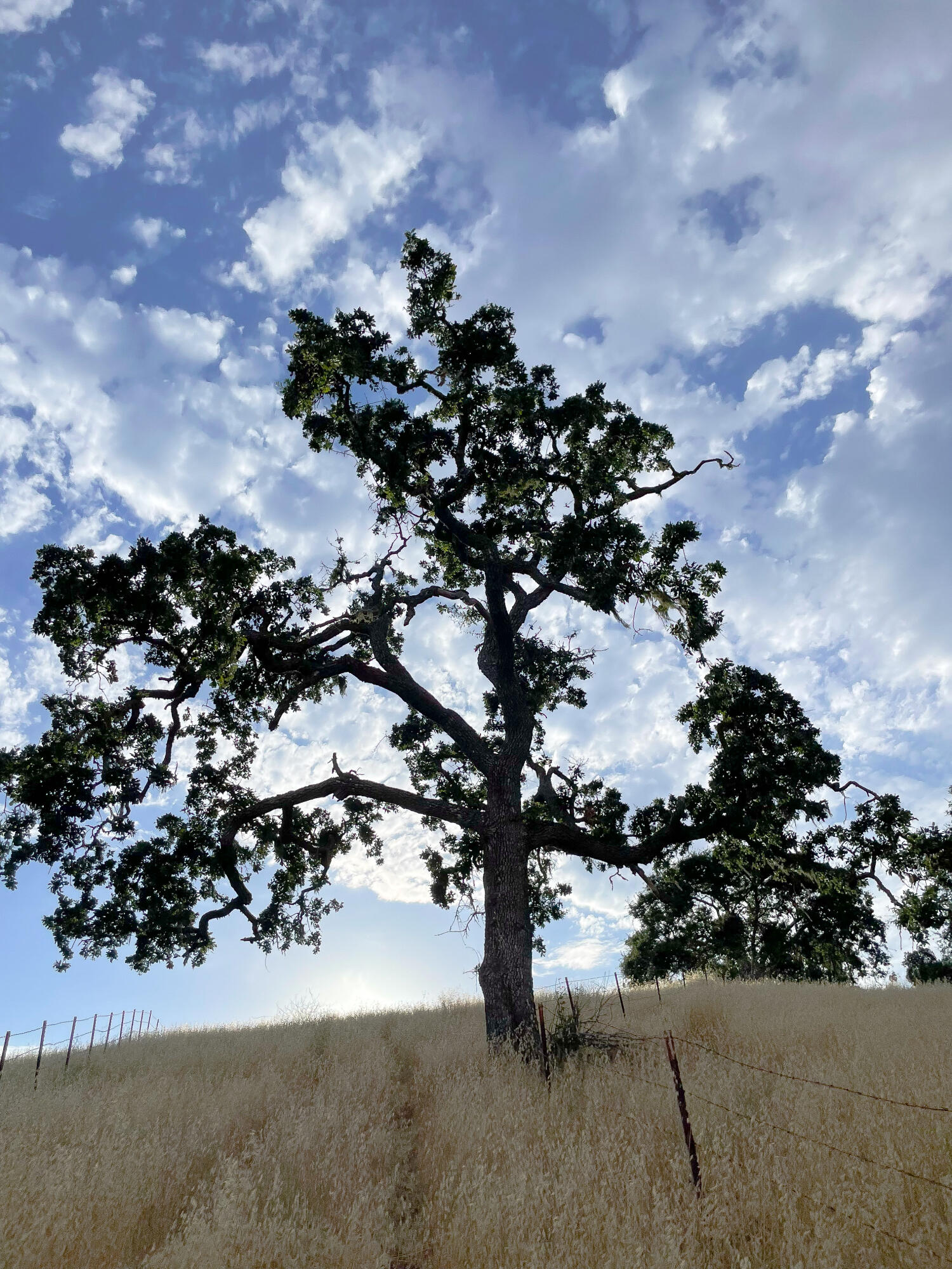 0 East E Highway Templeton, CA 93465 - Photo 83 of 84 47