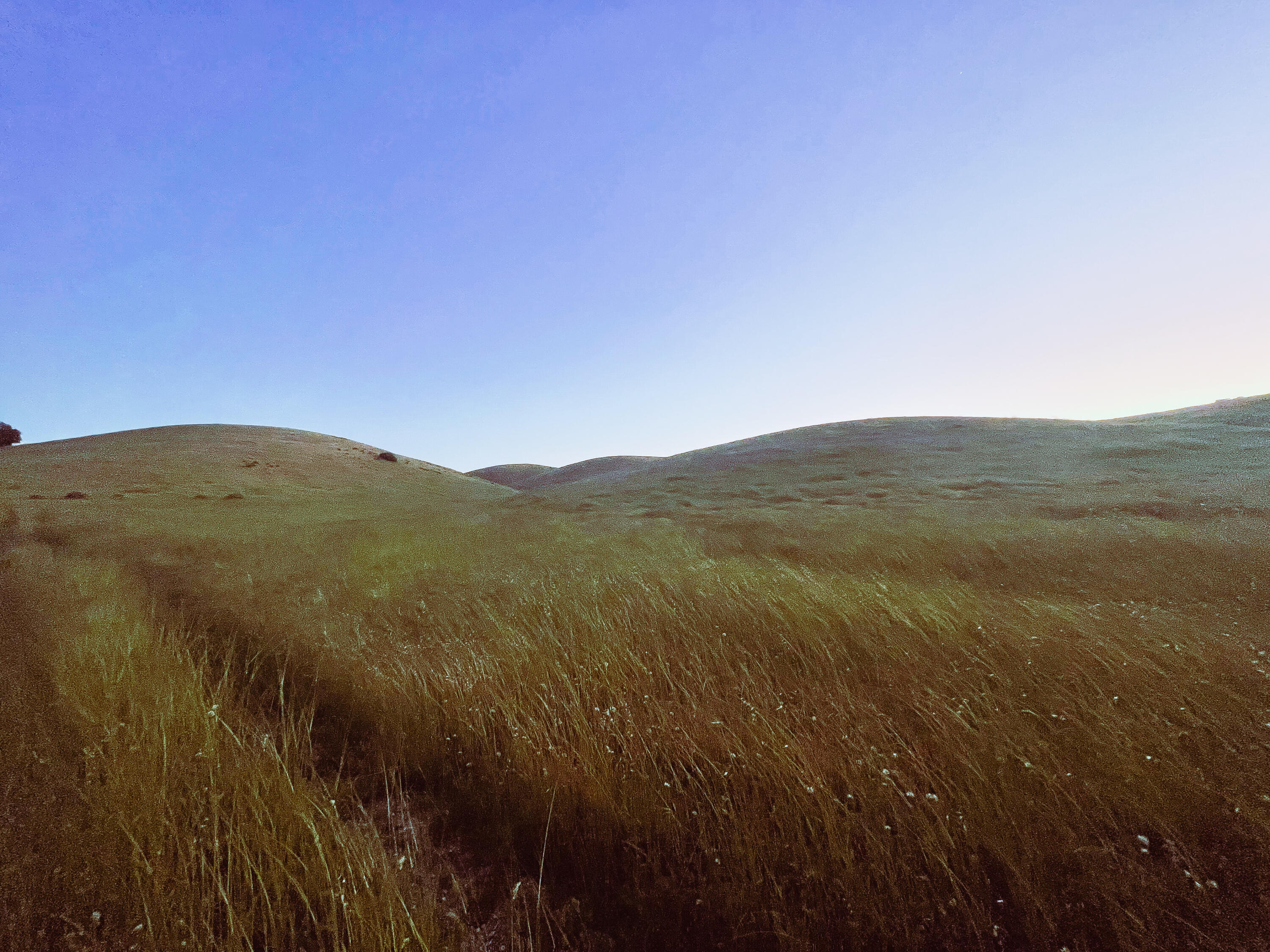 0 East E Highway Templeton, CA 93465 - Photo 84 of 84 a view of a mountain range with lush green forest