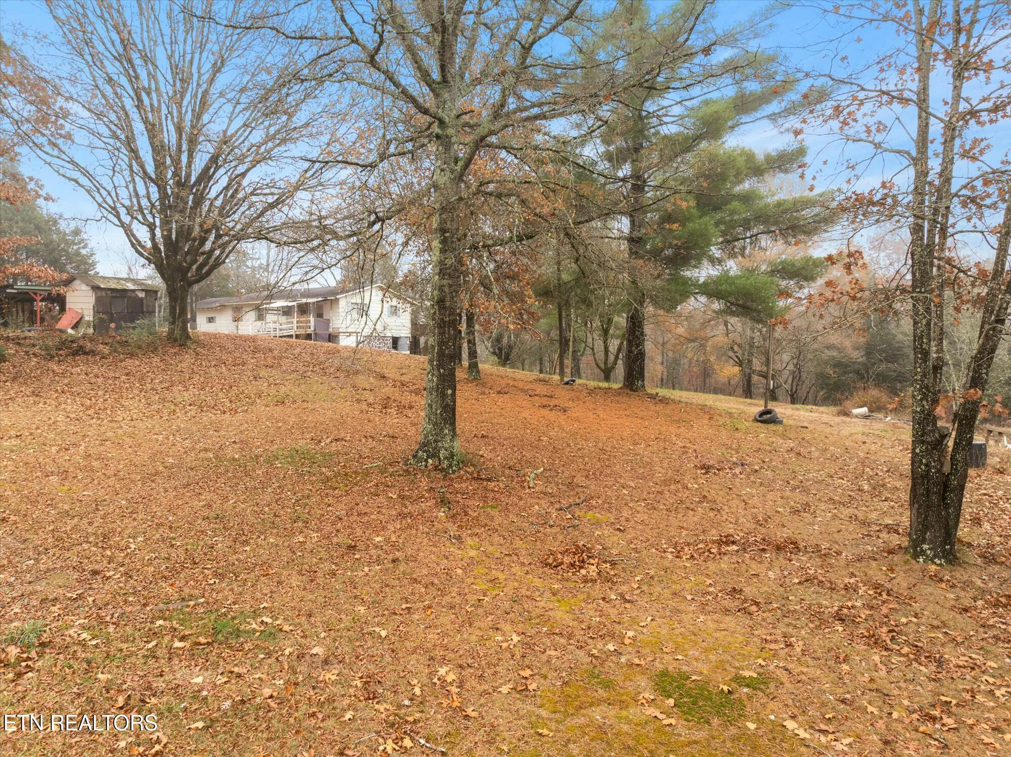 420 Ivy Moore Circle Decatur, TN 37322 - Photo 23 of 23 tempImageL5hvic