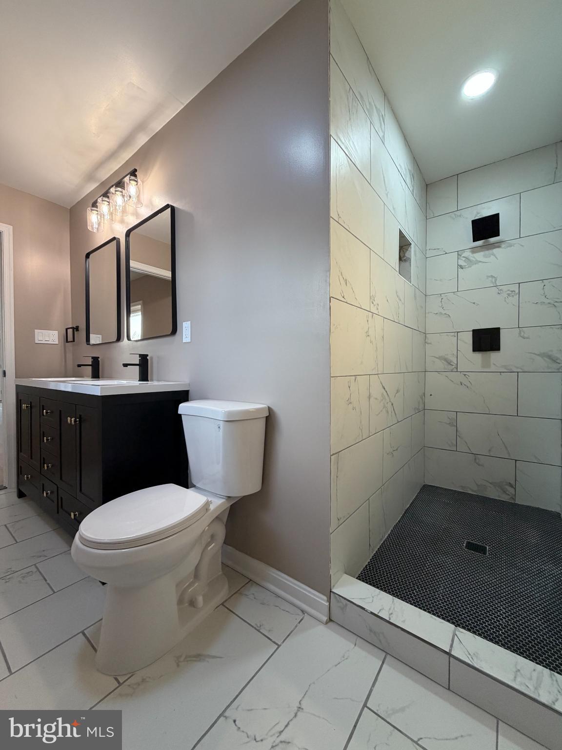 1906 Harbor Drive Chester, MD 21619 - Photo 32 of 44 a bathroom with a sink a toilet and shower