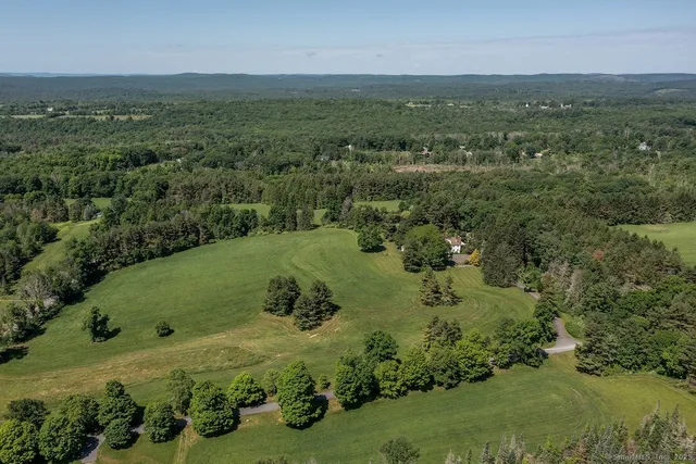a view of a lush green forest with lots of trees