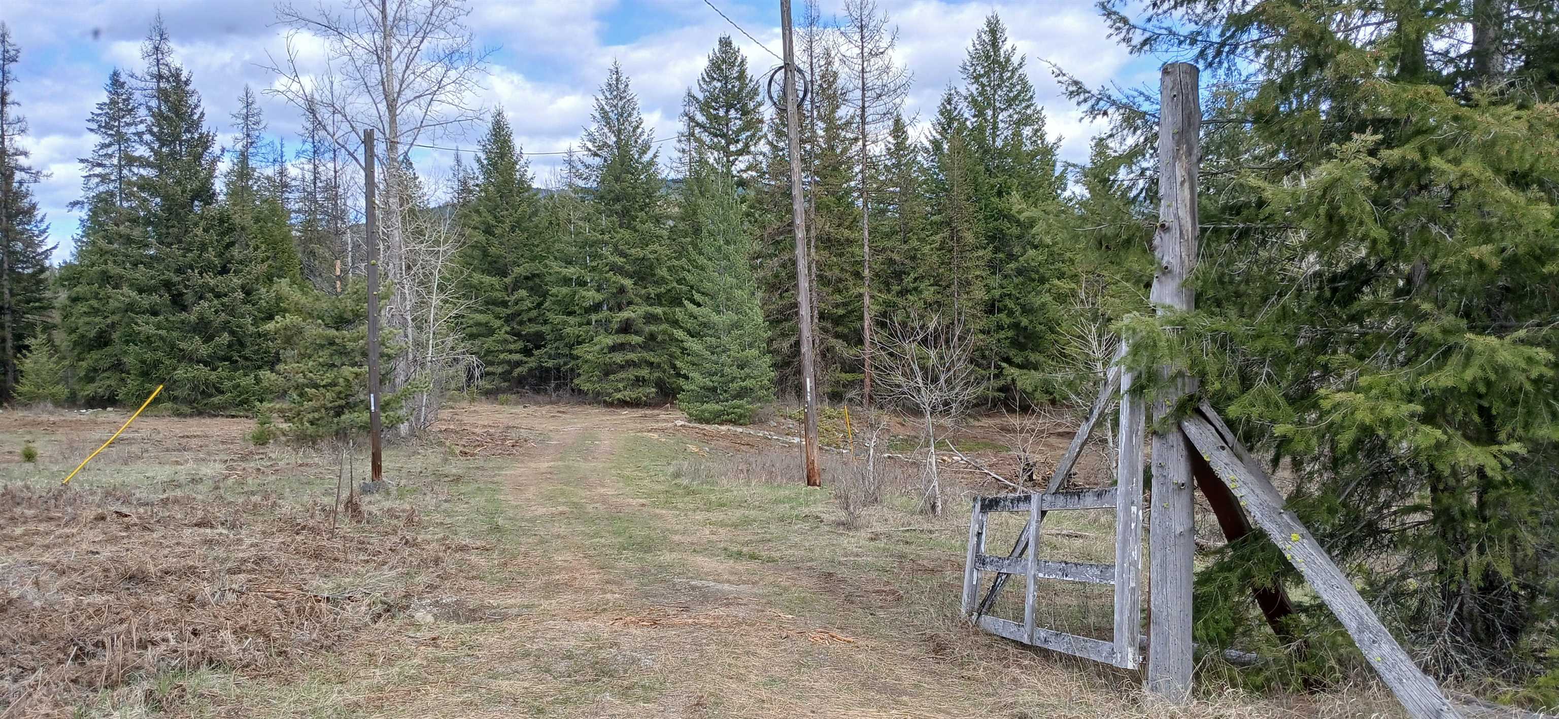 3832 Deep Lake Boundary Road Colville, WA 99114 - Photo 3 of 37 Gallery Image 3