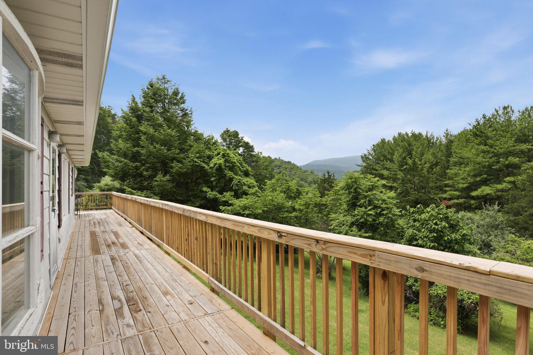 3704 Cedar Creek Road Star Tannery, VA 22654 - Photo 31 of 46