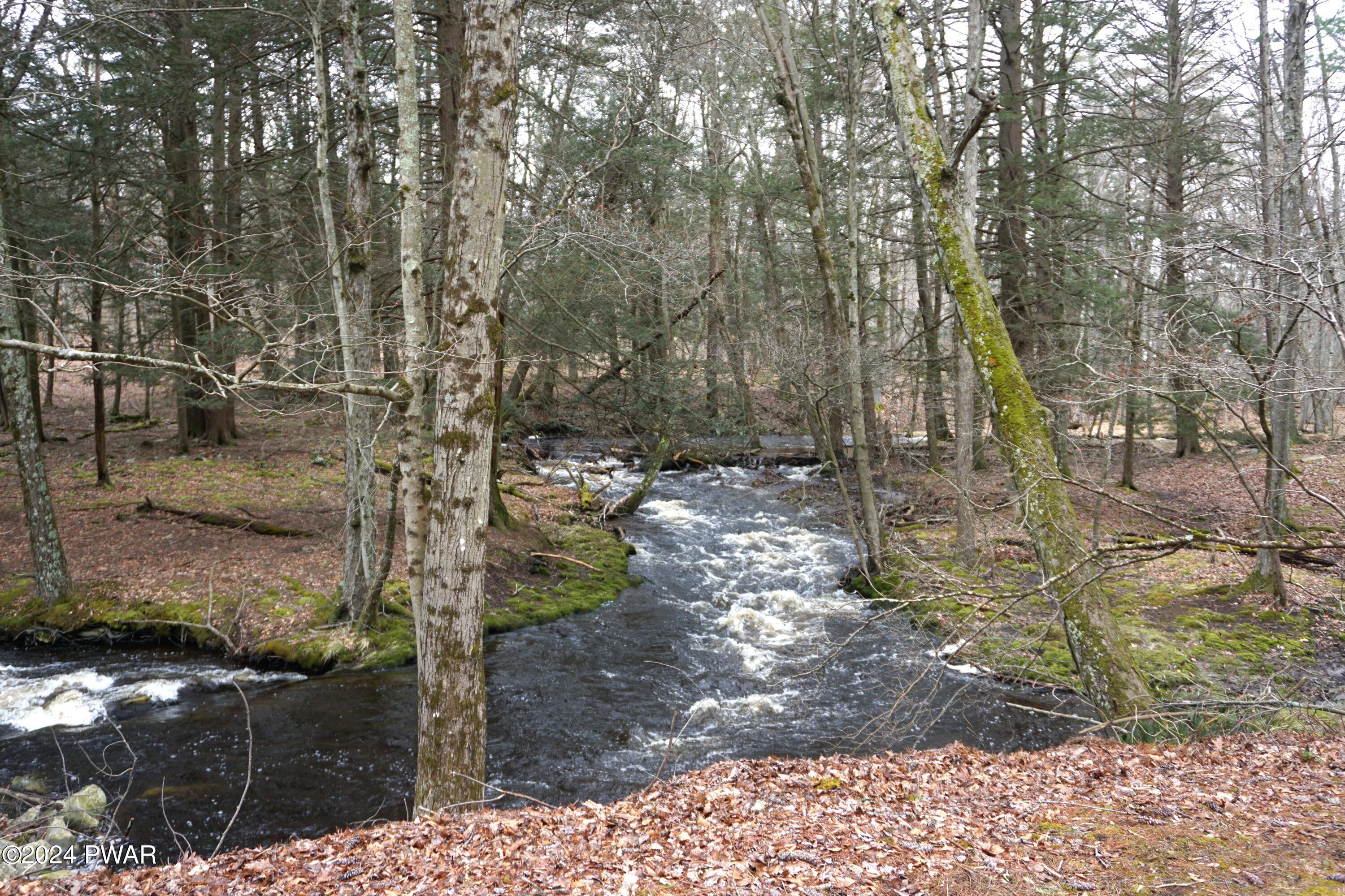 183 Husson Road Milford, PA 18337 - Photo 4 of 50 Creek 1