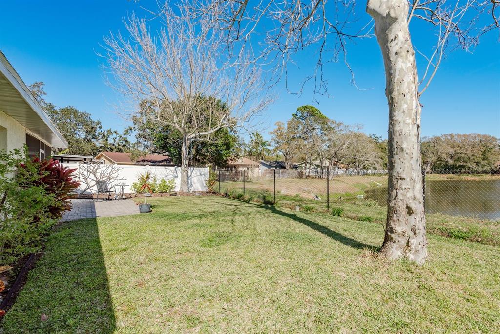 241 Whisper Lake Road Palm Harbor, FL 34683 - Photo 32 of 49