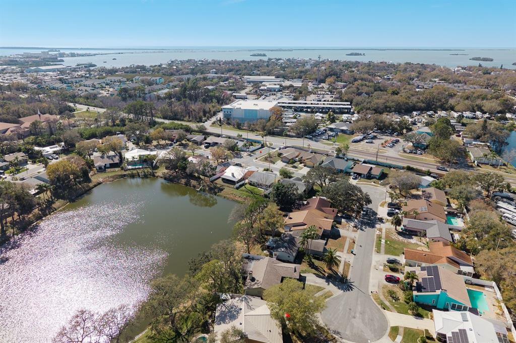 241 Whisper Lake Road Palm Harbor, FL 34683 - Photo 42 of 49