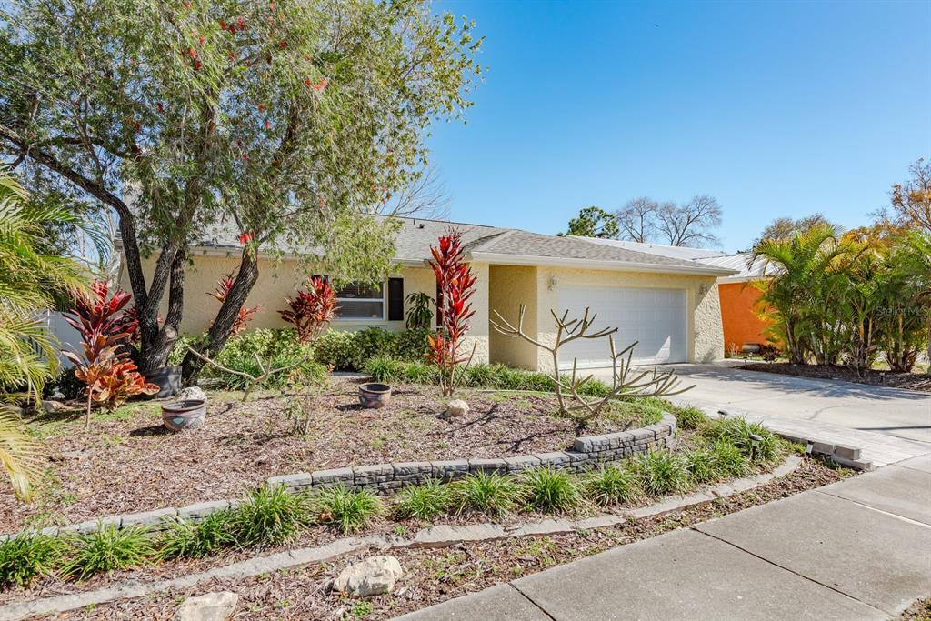 241 Whisper Lake Road Palm Harbor, FL 34683 - Photo 47 of 49