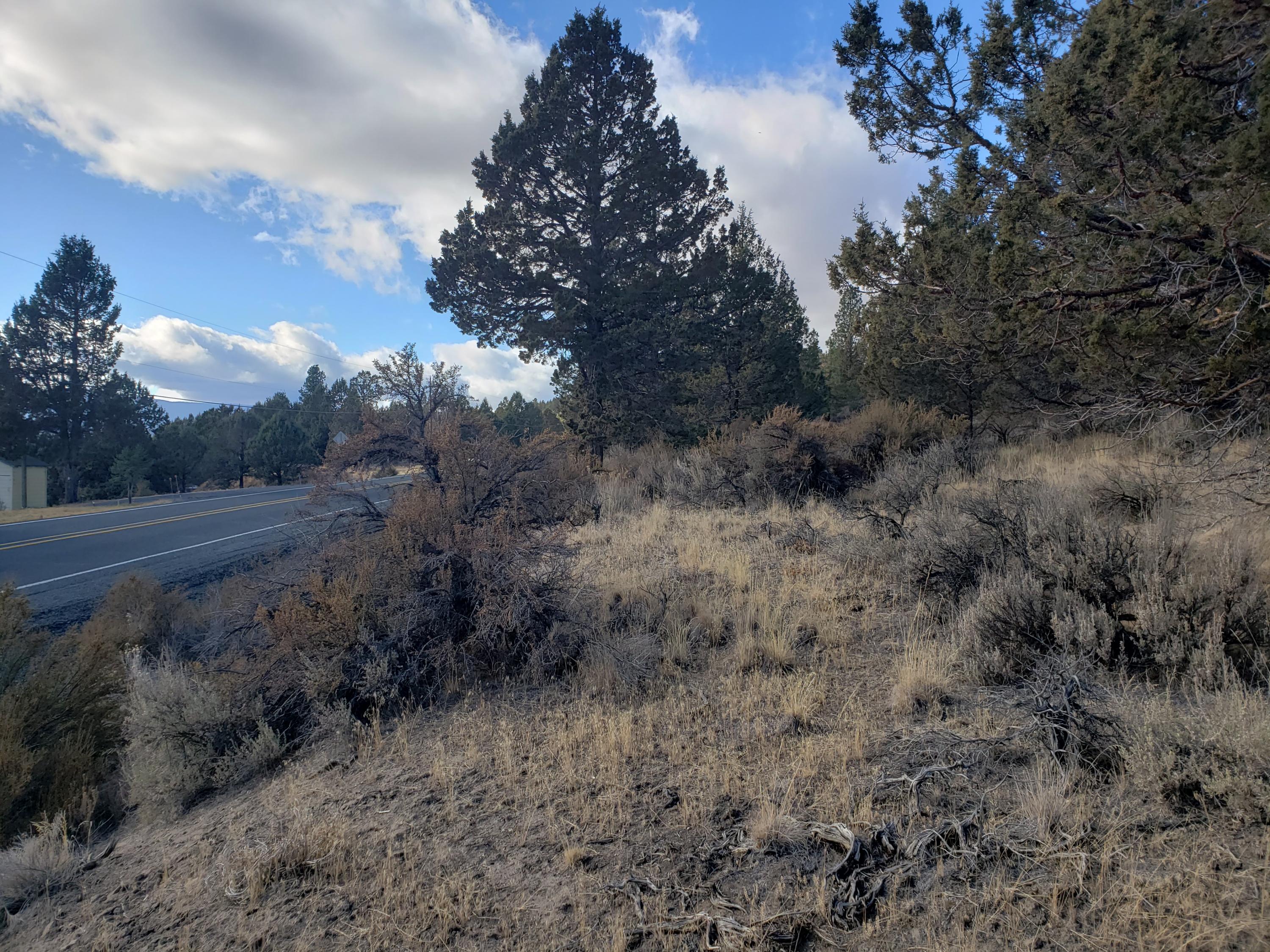 37 Drews Ranch Road Chiloquin, OR 97624 - Photo 4 of 16 20201110_132729