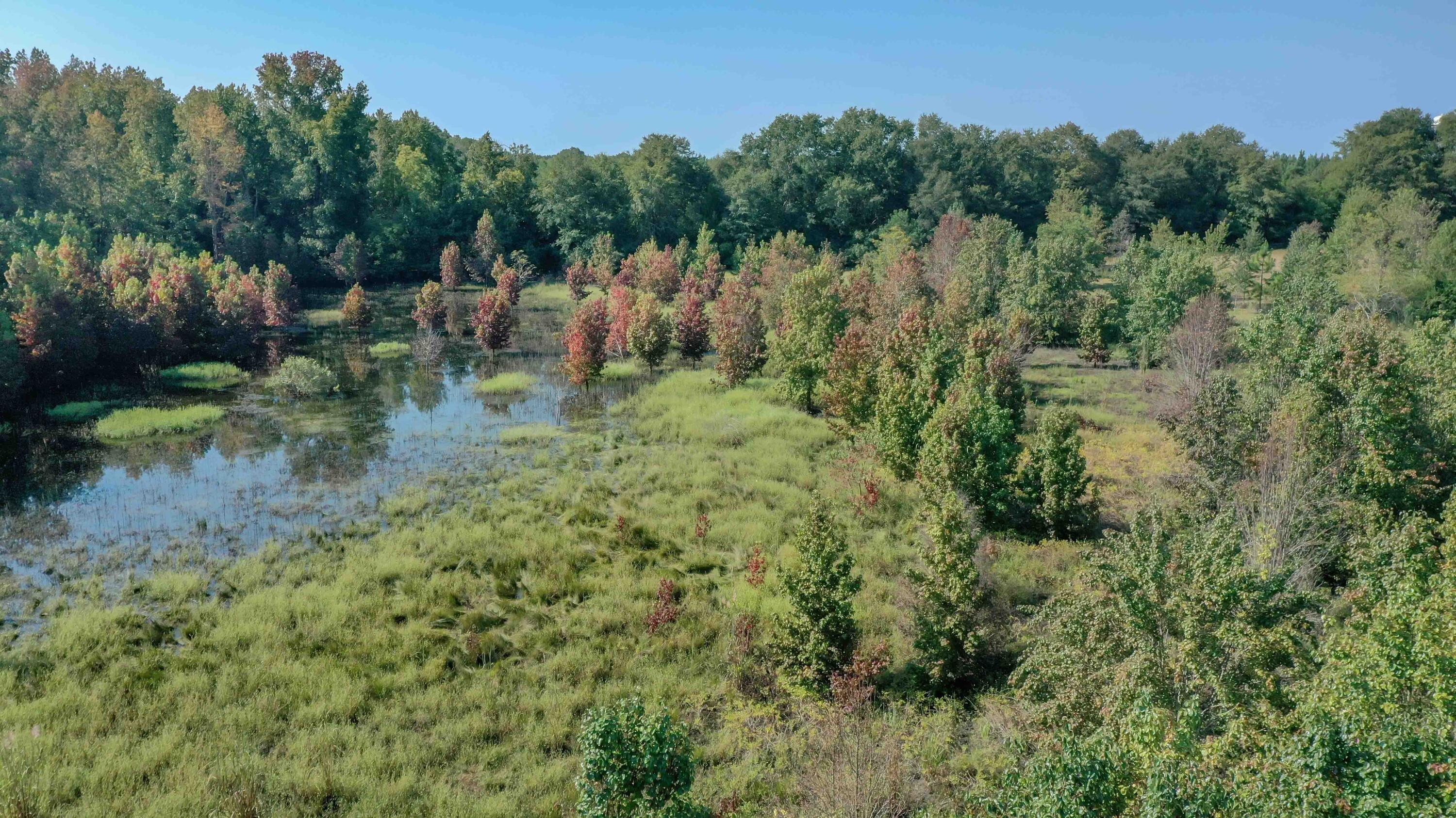 3242 Surrey Race Road Springfield, SC 29146 - Photo 4 of 32