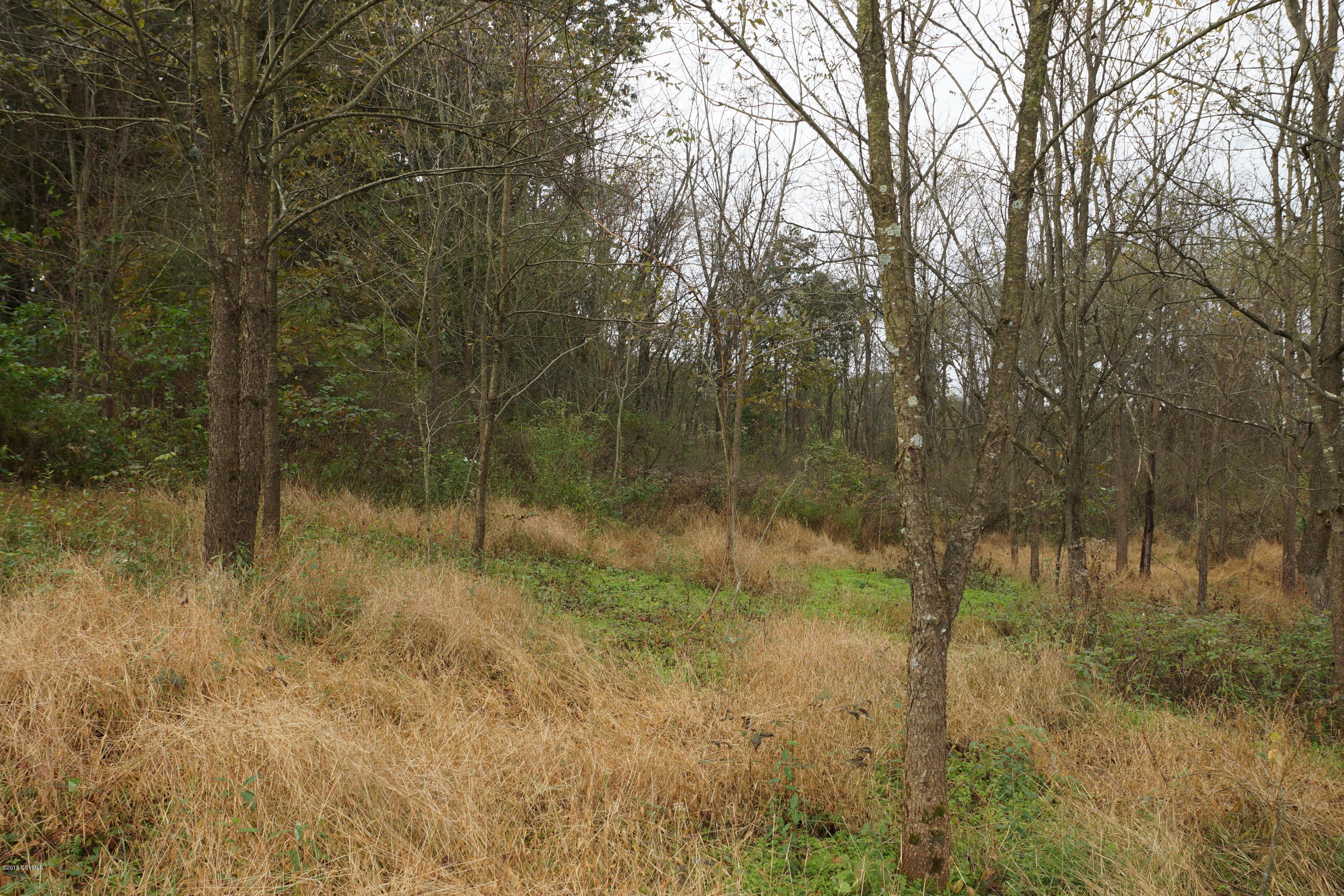 Lot 4 Milroy Road New Columbia, PA 17856 - Photo 22 of 27