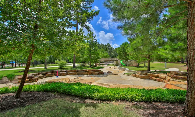 a view of a park with large trees