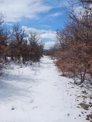 a view of a in a yard