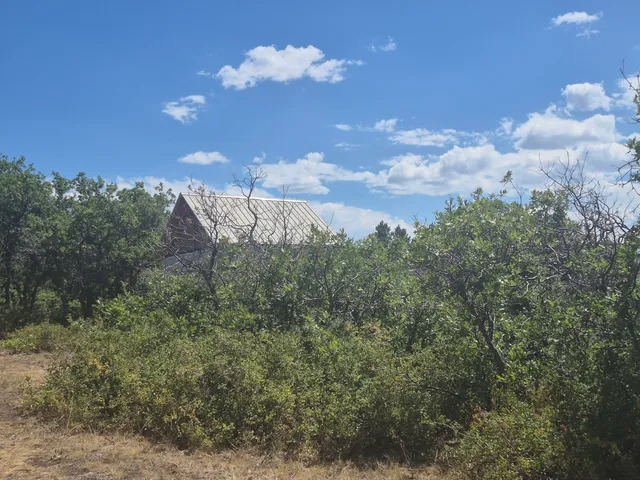 a view of a dry yard with mountains in the background