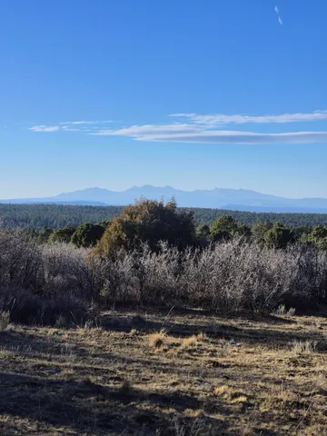 $160,000 | Tbd South Tbd S Avalon, Norwood, CO 81423