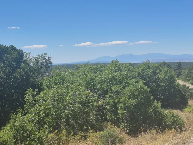 a view of a city and sunset