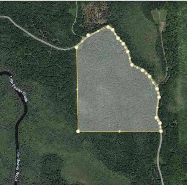 0 Fire Road Linneus, ME 04730 - Photo 13 of 14 Lot 19
