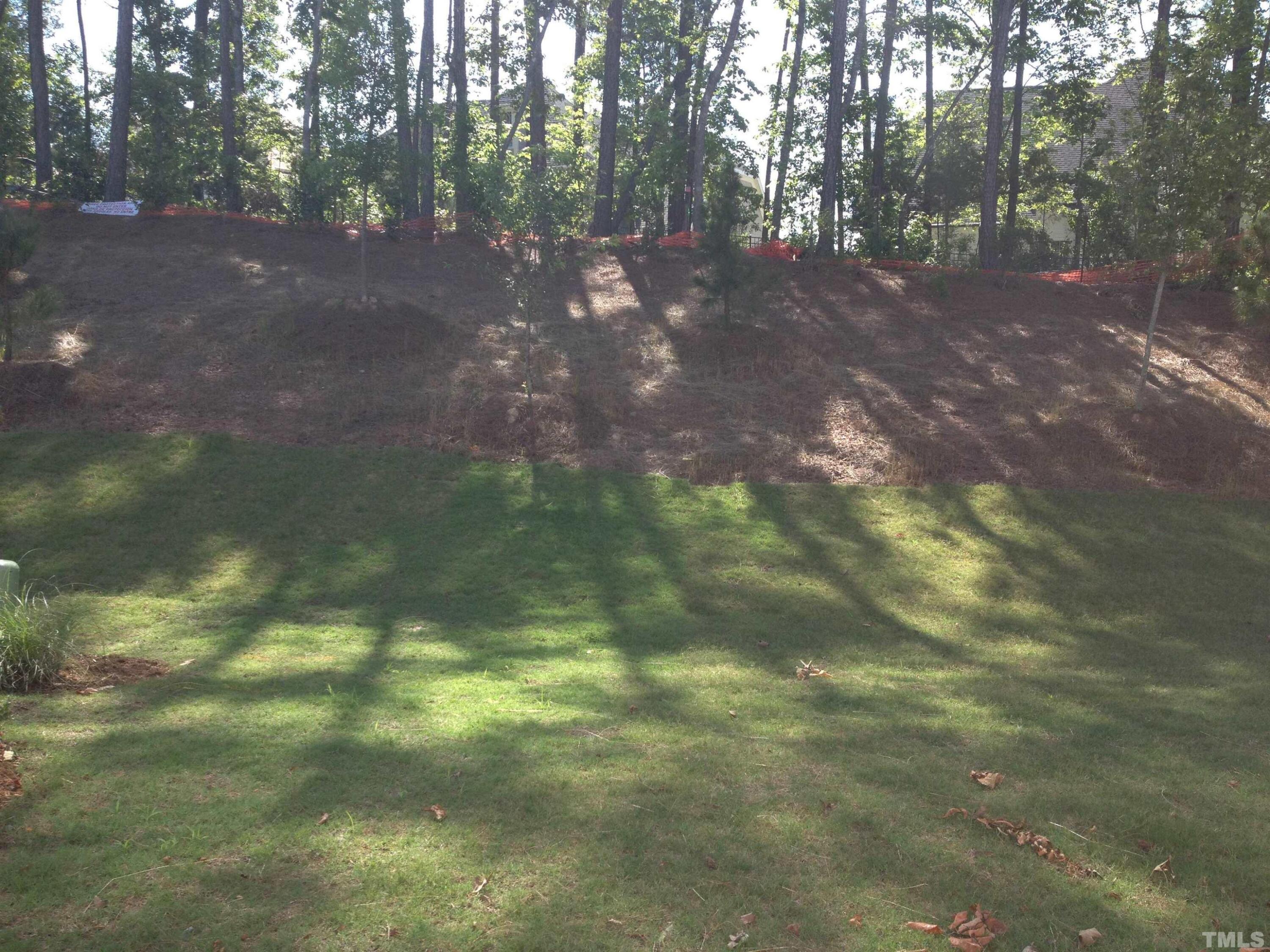 226 Skyros Loop Cary, NC 27519 - Photo 12 of 14 a view of a forest