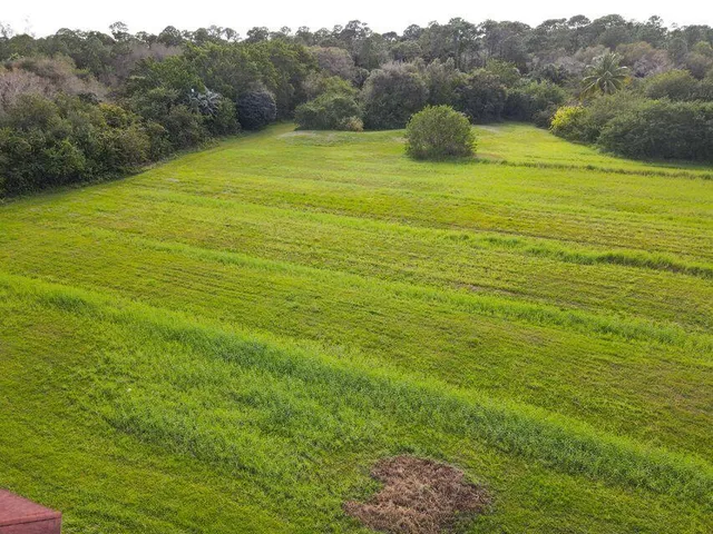 a aerial view of a house with yard and green space