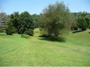 413 McCarty Hollow Road, Unit 1 Telford, TN 37690 - Photo 3 of 7 Back yar with garden space