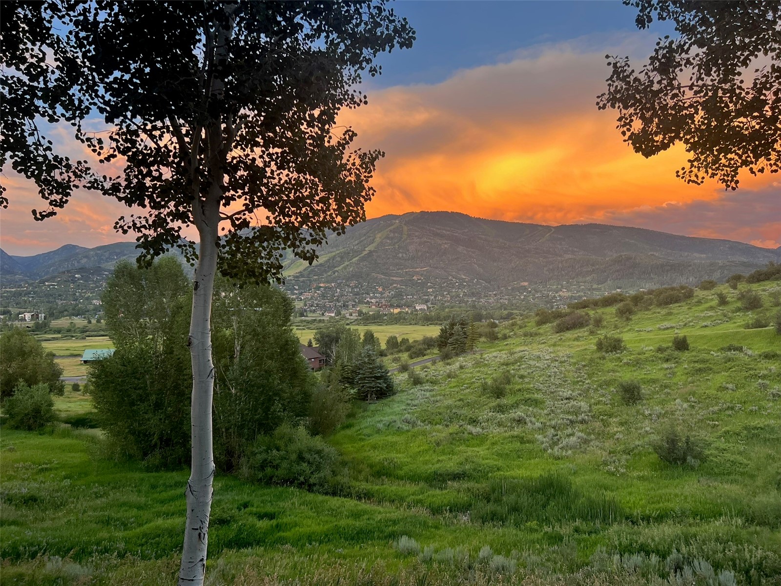 31655 Sugar Ridge Road Steamboat Springs, CO 80487 - Photo 27 of 49 a view of a lush green mountain with a mountain in the background