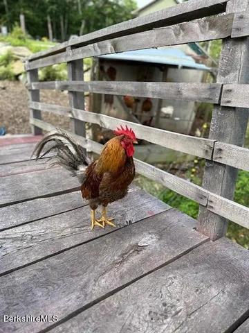 $1,850,000 | 26 A Stonebridge Way, Tyringham, MA 01238