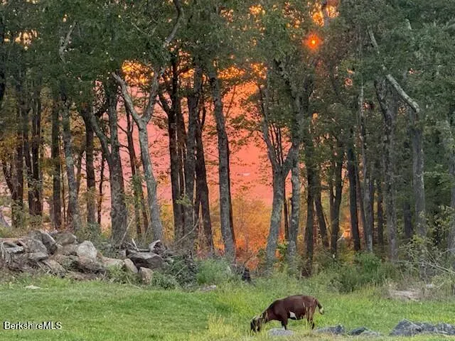 $1,850,000 | 26 A Stonebridge Way, Tyringham, MA 01238