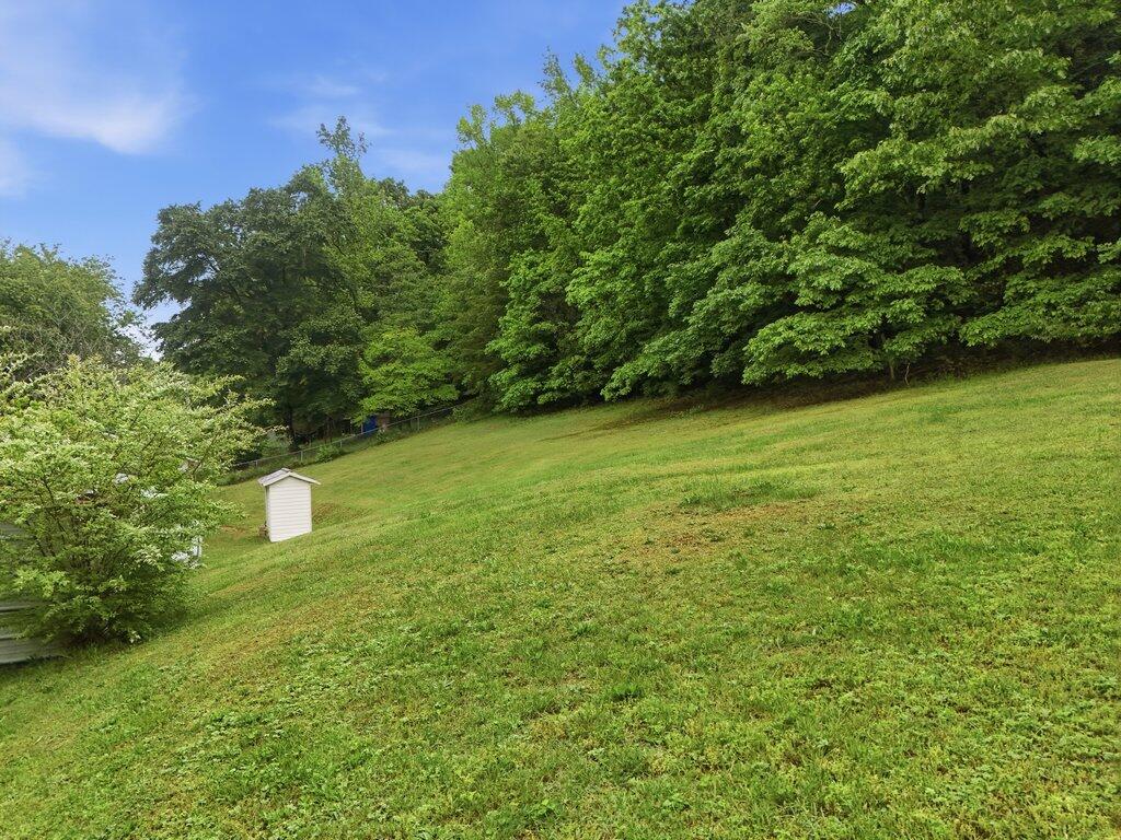 5780 Toestring Valley Road Spring City, TN 37381 - Photo 19 of 27 020_dji_20260507083542_0544_d_176