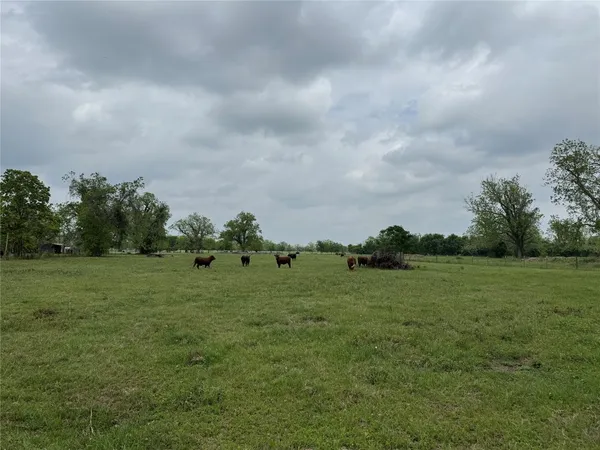 a view of a field with of trees in background