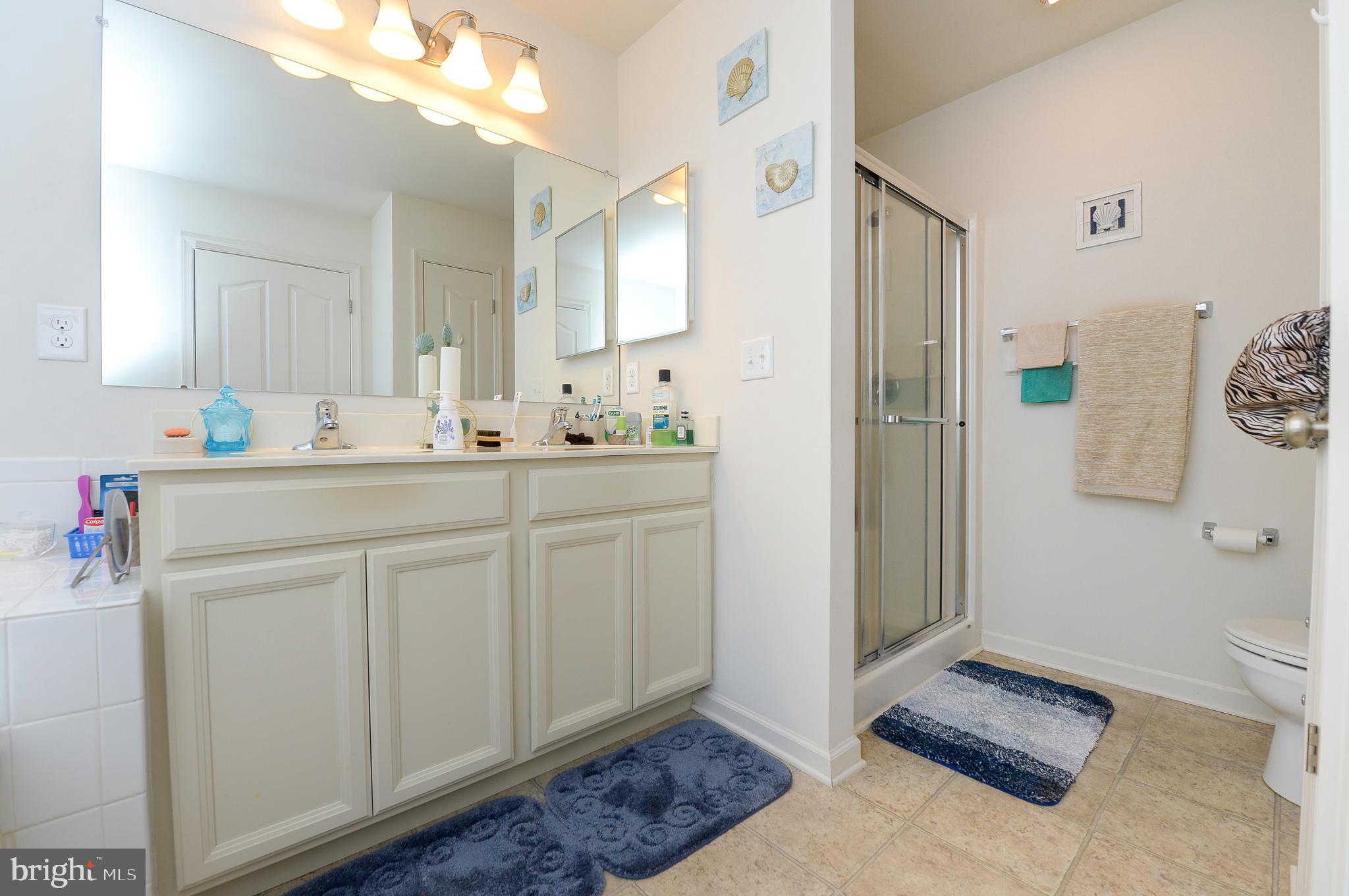 418 Bergenia Loop Bear, DE 19701 - Photo 20 of 27 a bathroom with a sink a toilet and a mirror
