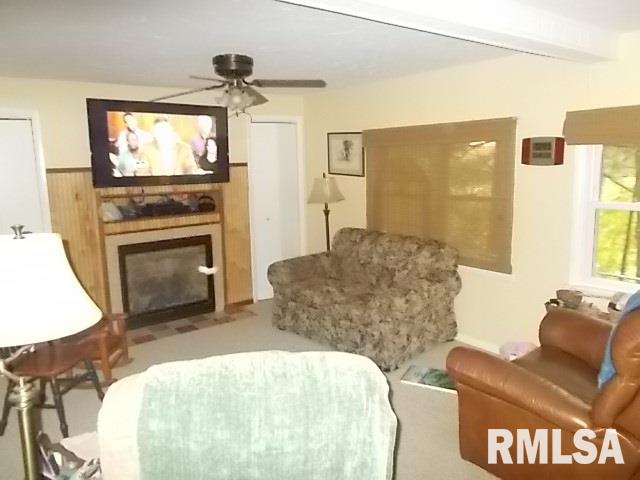 930 Cottage Road New Boston, IL 61272 - Photo 4 of 11 Gallery Image 4