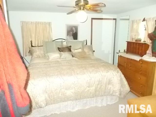 930 Cottage Road New Boston, IL 61272 - Photo 5 of 11 Gallery Image 5