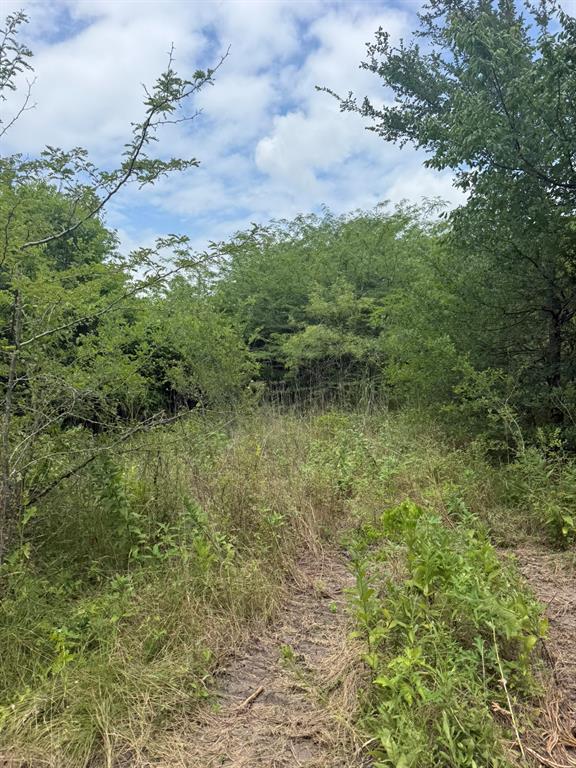 Tbd McKnight Road Ferris, TX 75125 - Photo 9 of 26