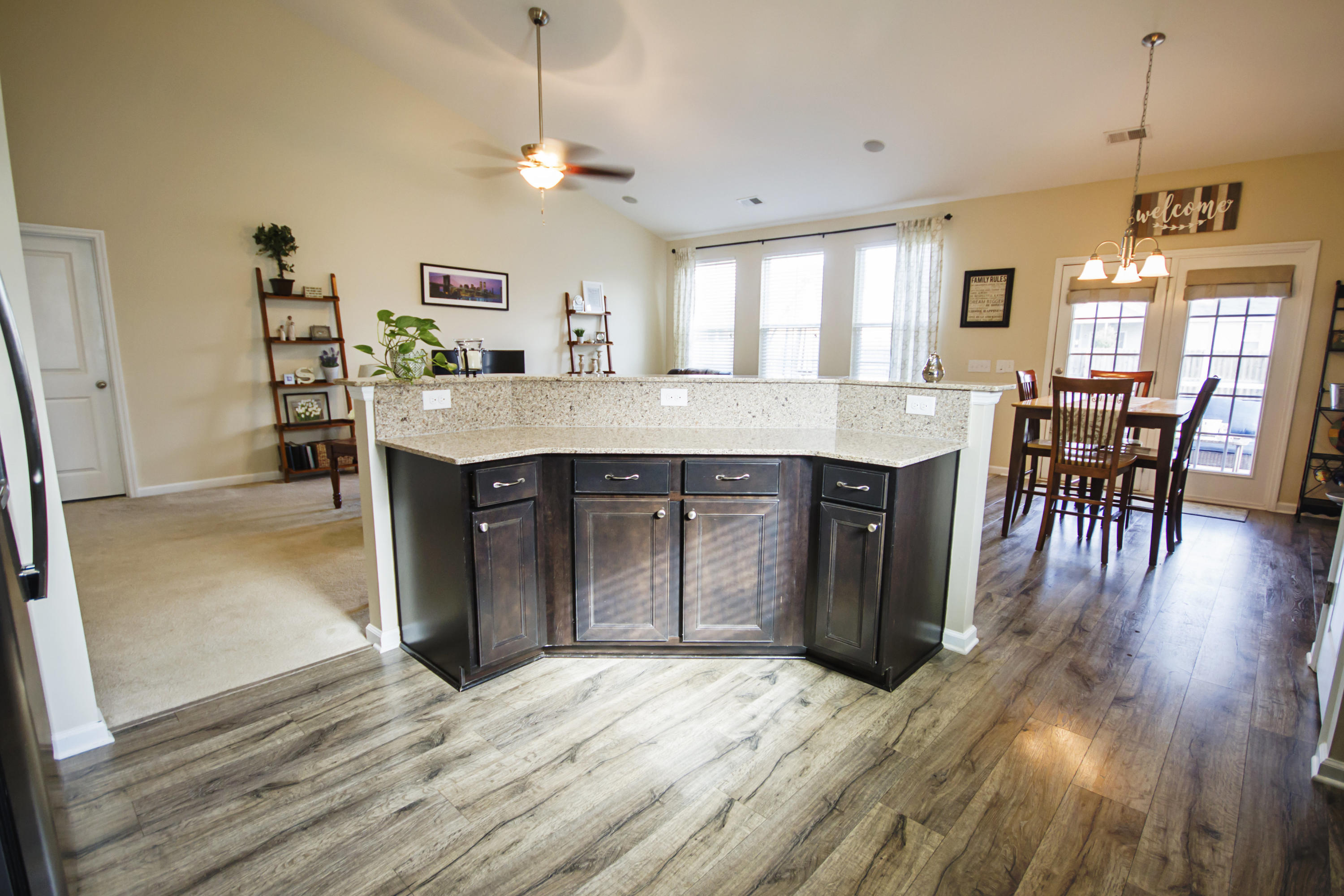 2029 Triple Crown Lane Ridgeville, SC 29472 - Photo 13 of 34 view from kitchen