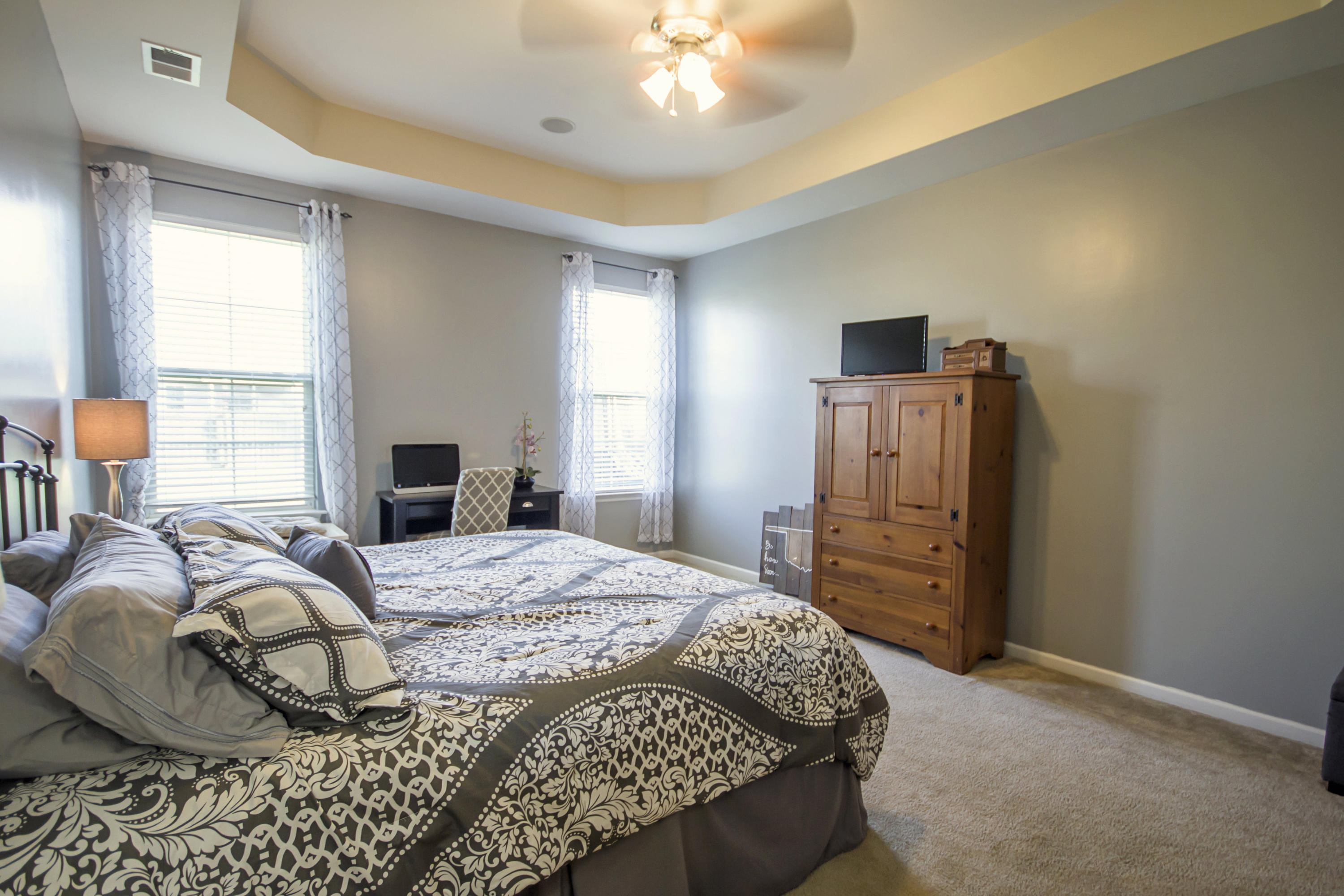 2029 Triple Crown Lane Ridgeville, SC 29472 - Photo 15 of 34 tray ceilings