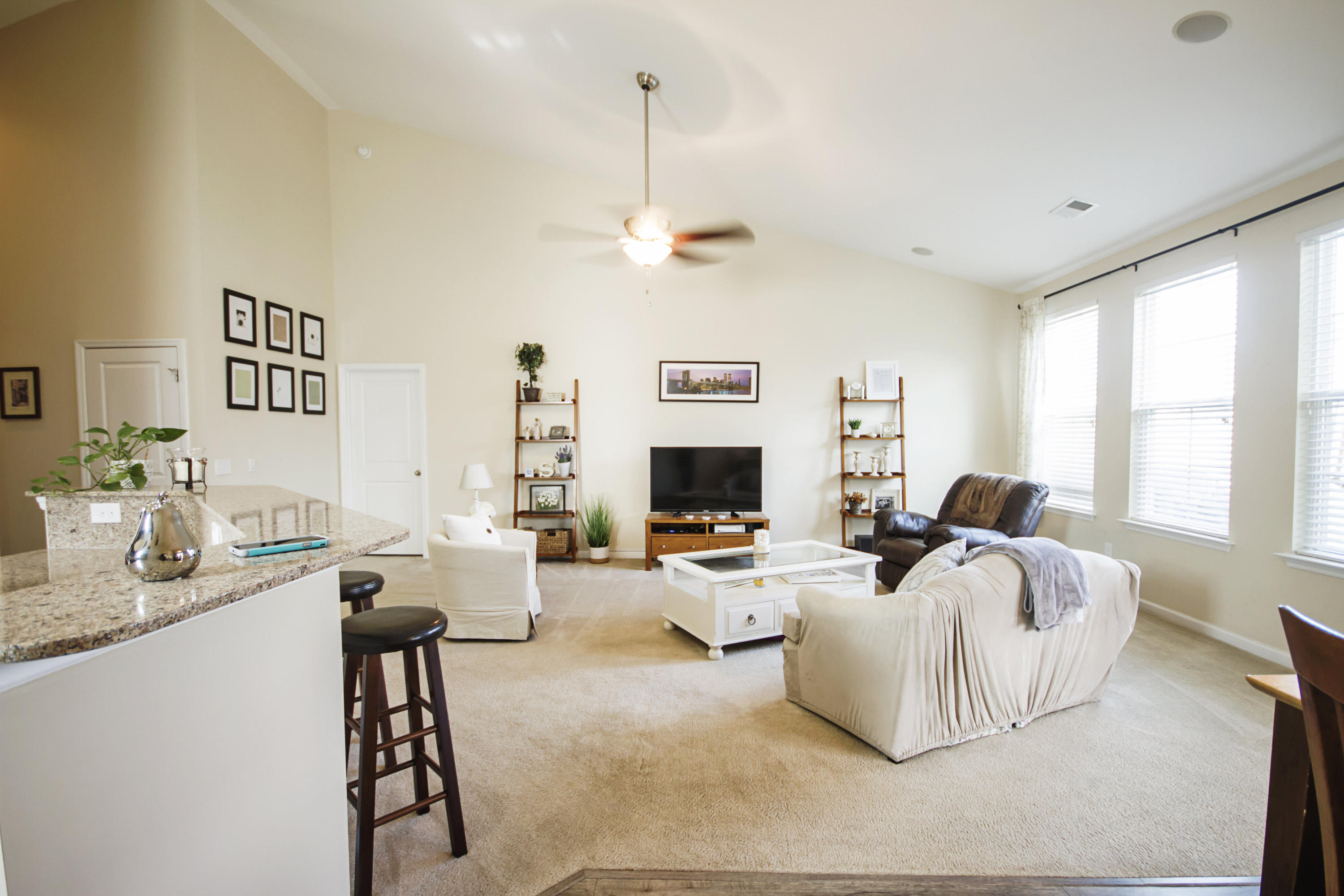 2029 Triple Crown Lane Ridgeville, SC 29472 - Photo 6 of 34 living room