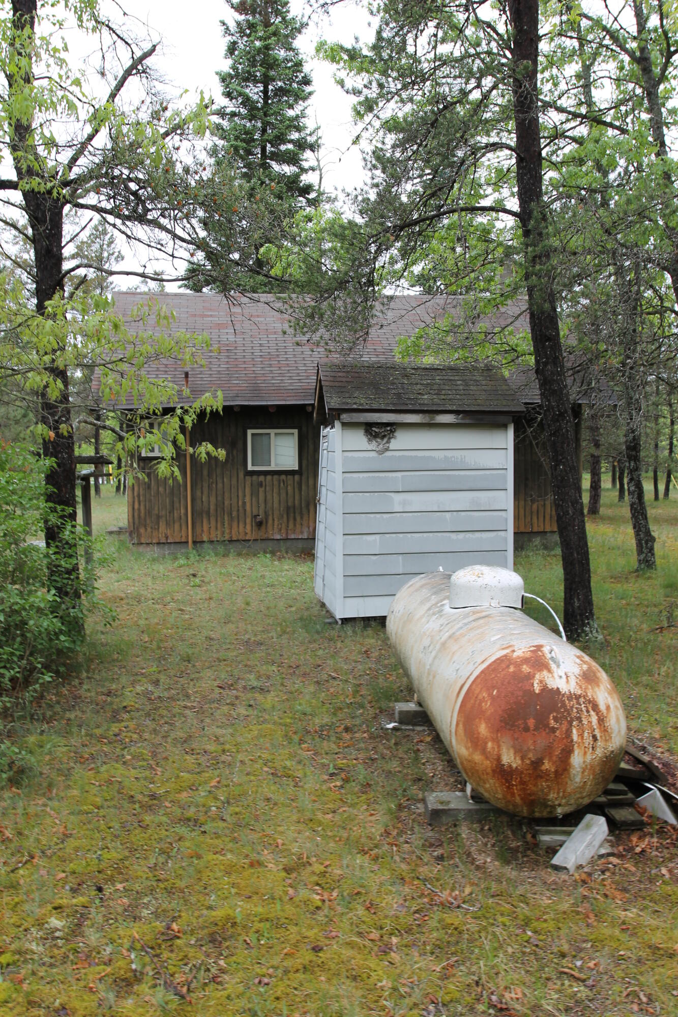 1369 South Stephan Bridge Road Grayling, MI 49738 - Photo 10 of 27 Gallery Image 10