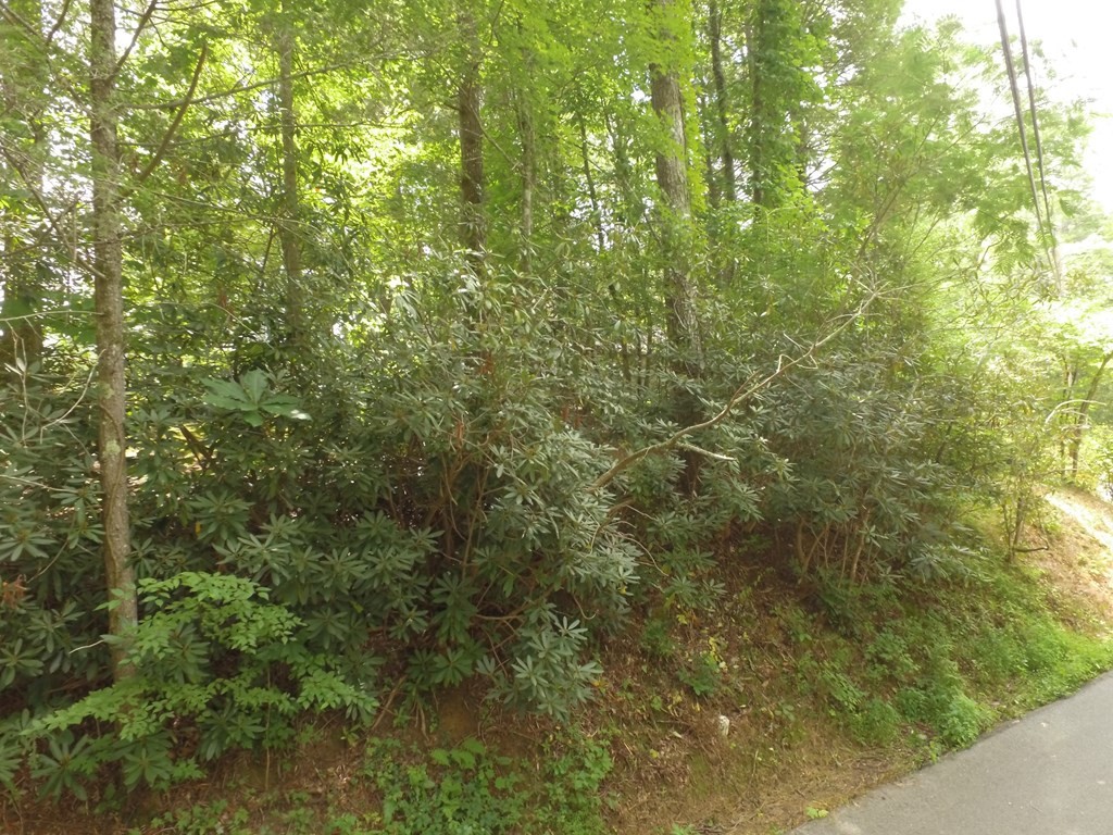 0 Bruce Road Gatlinburg, TN 37738 - Photo 8 of 11