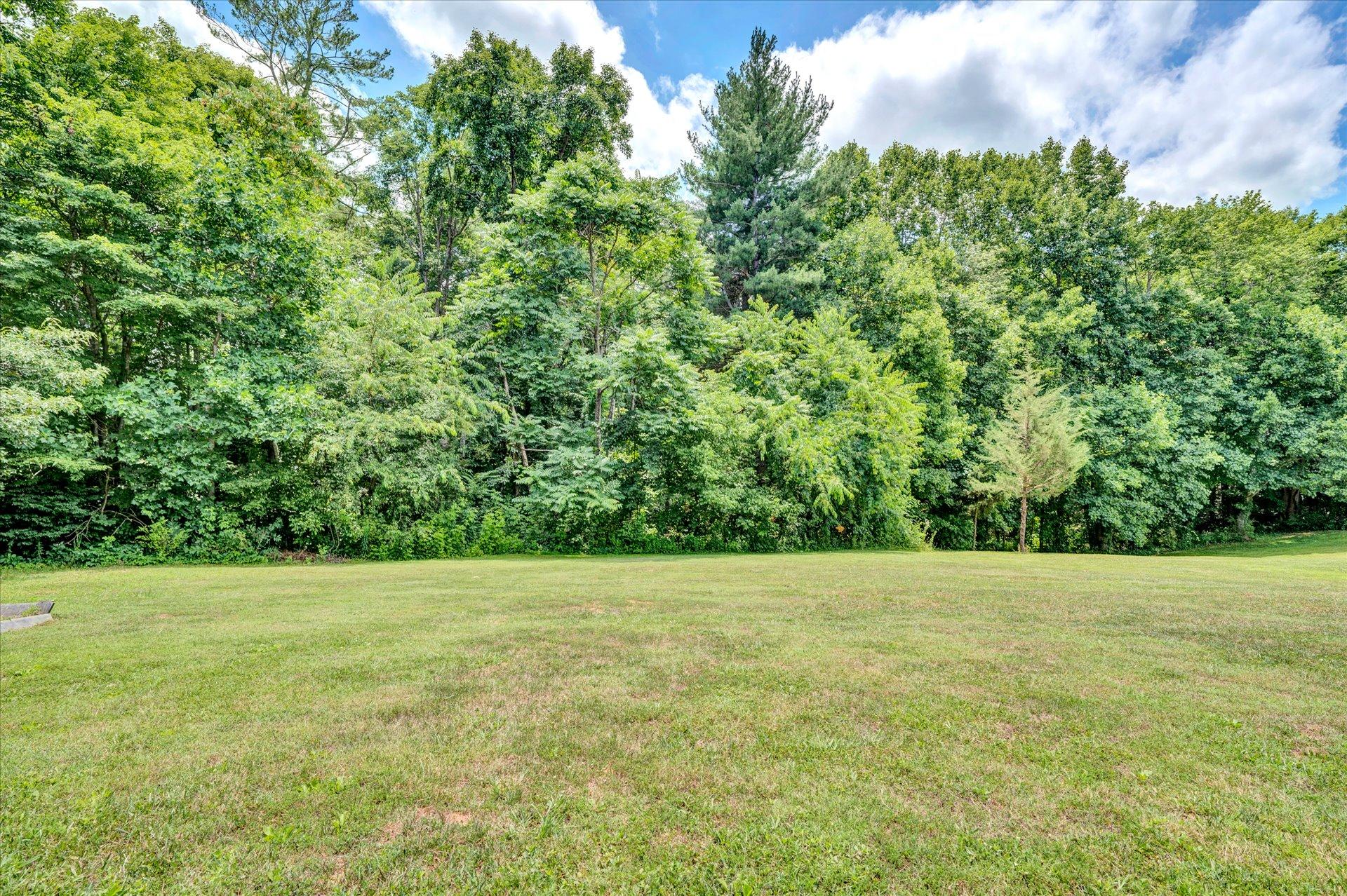 768 Ball Park Road Rocky Mount, VA 24151 - Photo 3 of 23 Level Back Yard