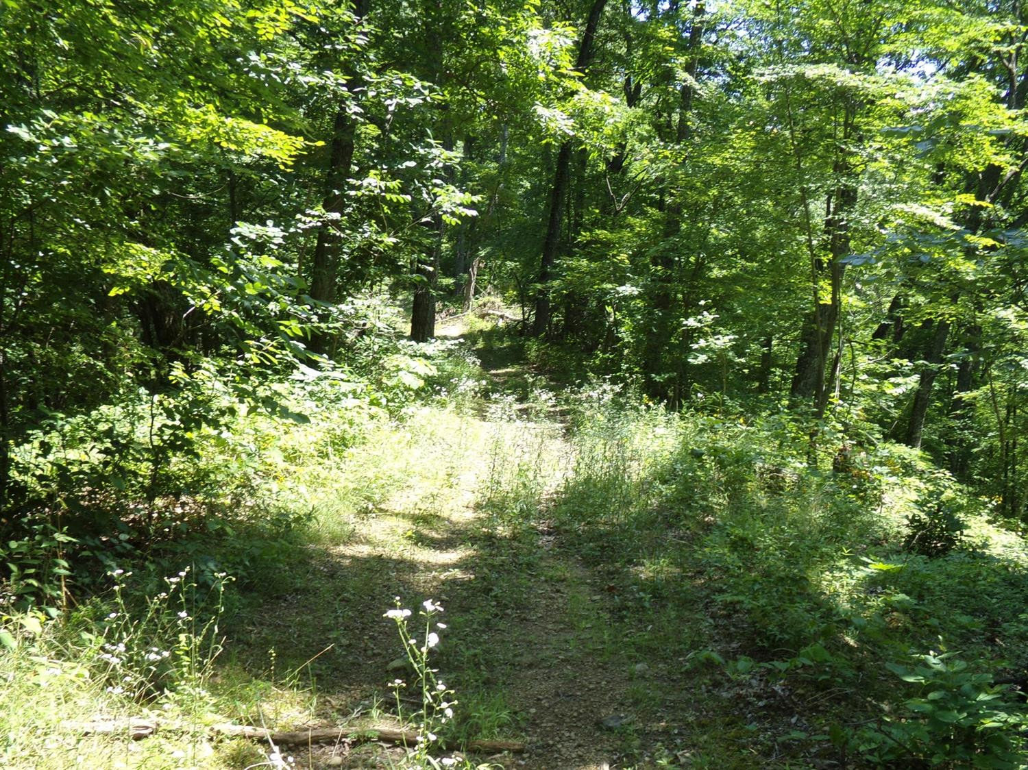 3333 Pinetable Road Means, KY 40346 - Photo 19 of 38 Photo 19