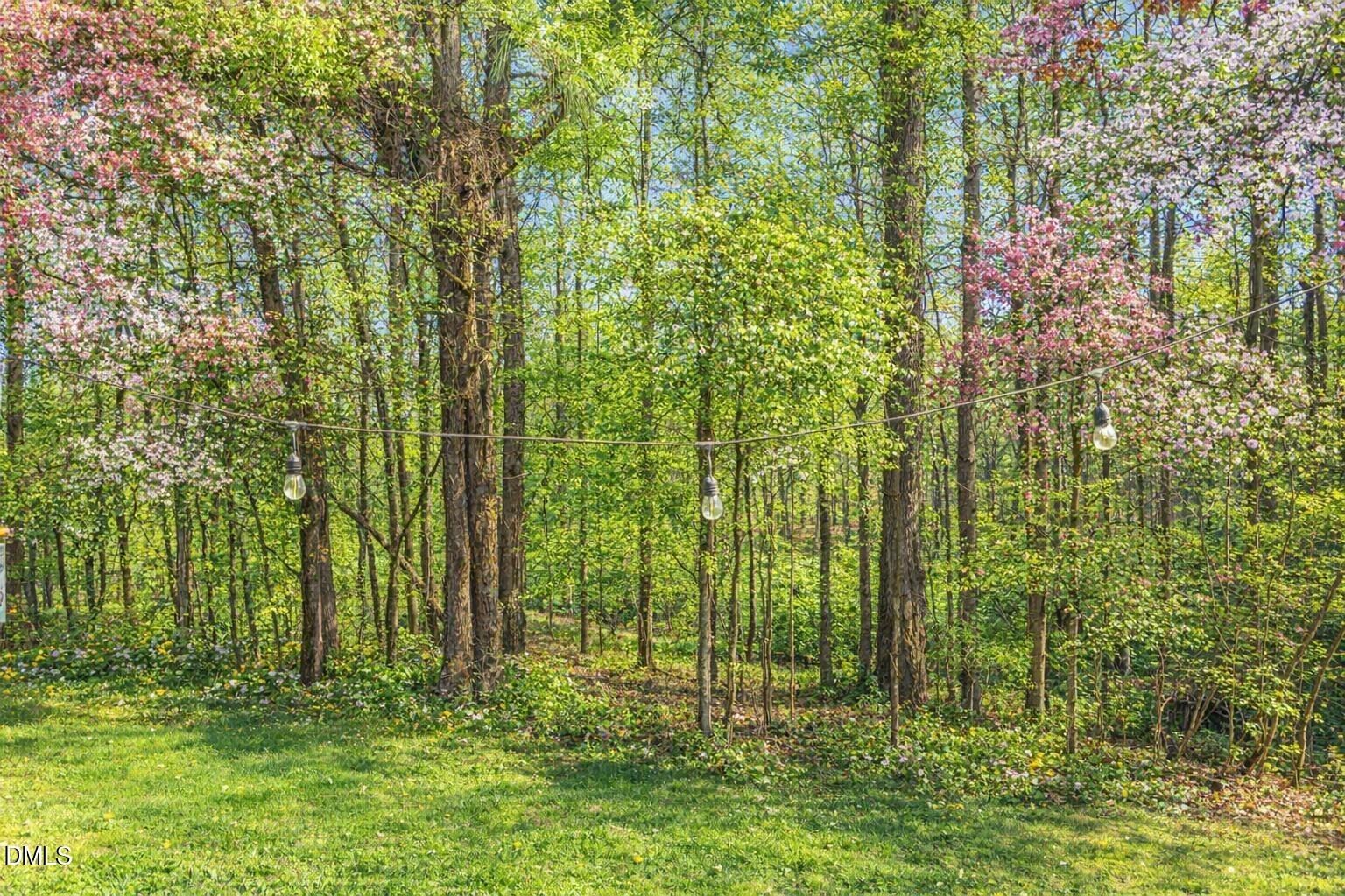 1434 Chatuga Way Wake Forest, NC 27587 - Photo 27 of 29 a view of outdoor space and a yard