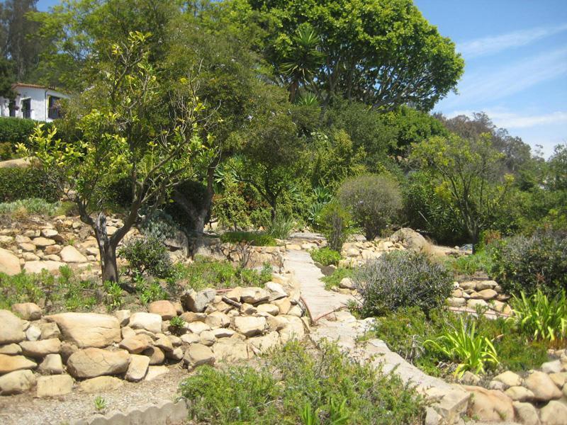 1602 Lasuen Road Santa Barbara, CA 93103 - Photo 2 of 5 a view of a yard with plants and large trees