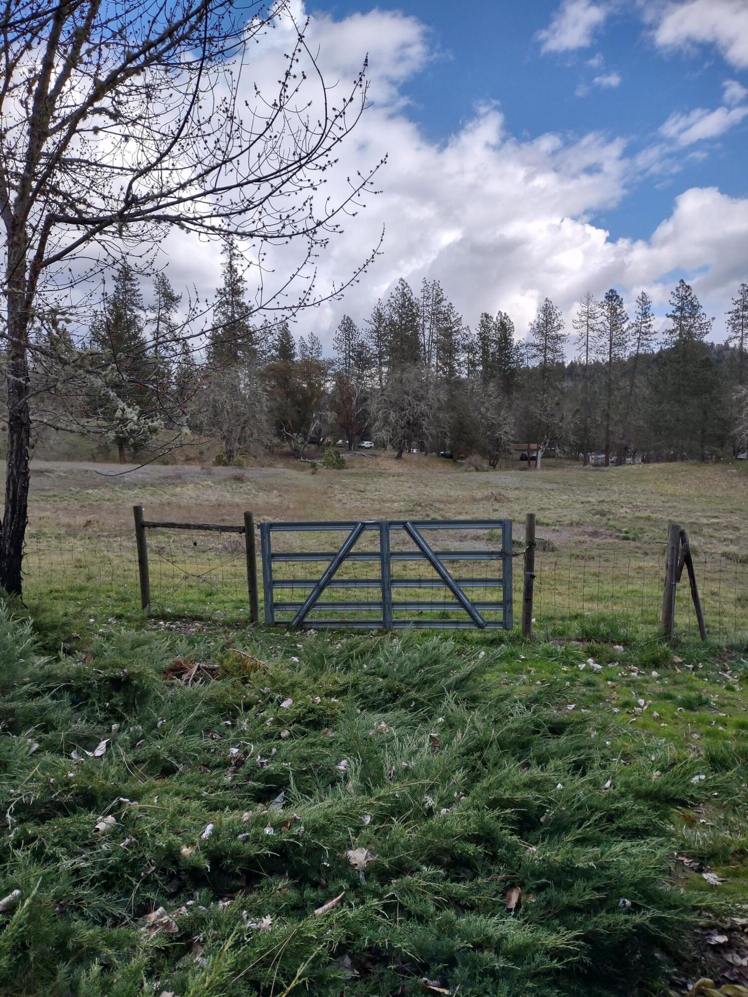 241 Gunnell Road Grants Pass, OR 97526 - Photo 9 of 23 a view of a garden with a tree