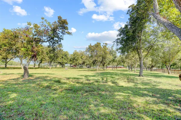a yard with lots of green space and trees