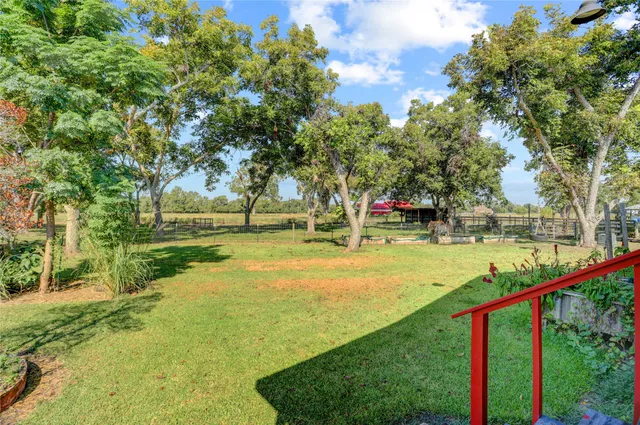 a view of a park with large trees